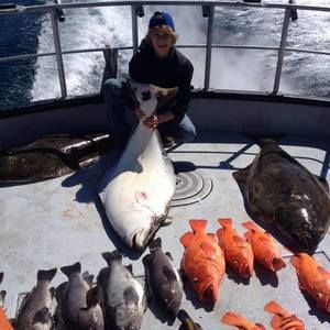 Meet your Posher, Samuel